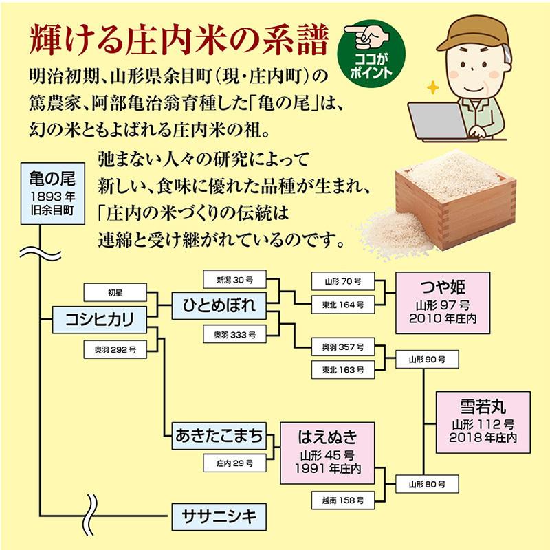 令和５年産 つや姫２kg 山形県の米どころ庄内平野で育った庄内米 送料無料