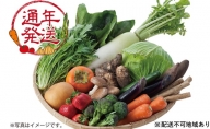 野菜セット おまかせ 10～15種 旬 朝倉市産 配送不可 離島