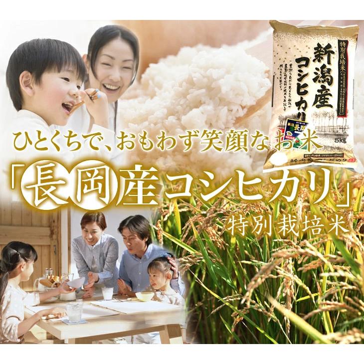 特別栽培米 新潟産 こしひかり 白米 10kg 5kg×2袋 送料無料