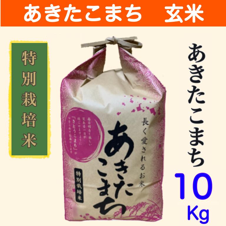 特別栽培米　玄米１０kg 秋田県大潟村産　あきたこまち玄米10kg（10kg×1）令和5年産　農家直送10キロ　送料無料