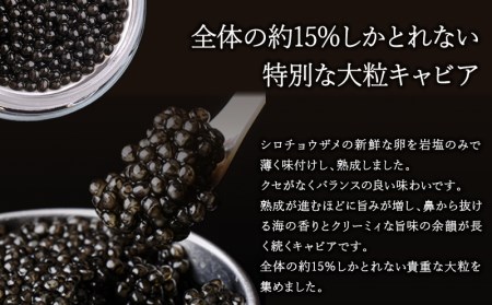 数量限定 MIYAZAKI CAVIAR 1983 Premium (20g×3個セット)