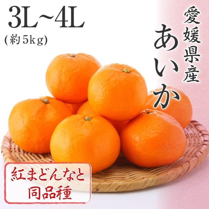 (12月上旬頃より順次発送) 2022 お歳暮 ギフト 愛媛県産 あいか 3〜4Lサイズ 約5kg 紅まどんなと同品種 フルーツ みかん