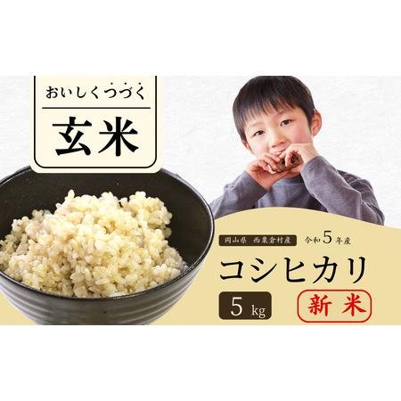 ふるさと納税 玄米 5kg 令和5年産 コシヒカリ 岡山 あわくら米米倶楽部 K-ab-ACZA 岡山県西粟倉村