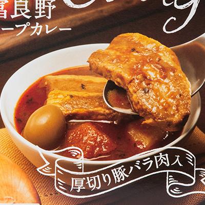 ふるさと納税 富良野市 富良野スープカレーポーク10食セット