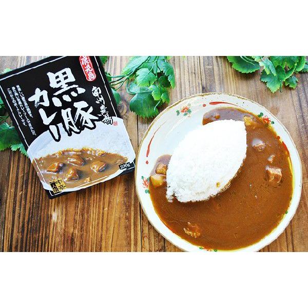 ご当地カレー　レトルトカレー 鹿児島 南州農場黒豚カレー 中辛（１人前 200ｇ）