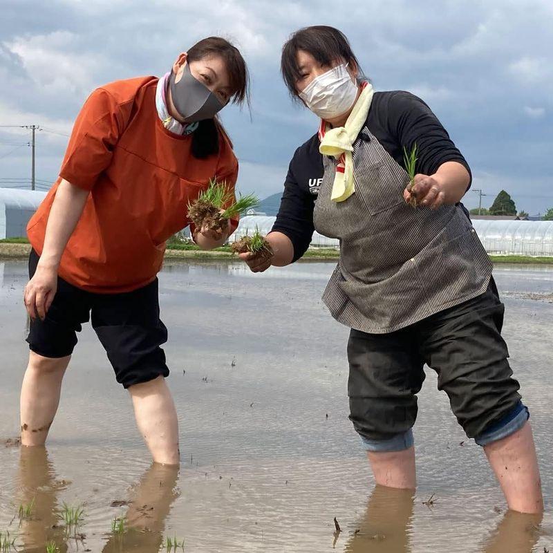 水菜土農園無洗米令和4年産 秋田県産 あきたこまち 10kg (5kg×2袋) 御縁米（縁結び）150g 付き