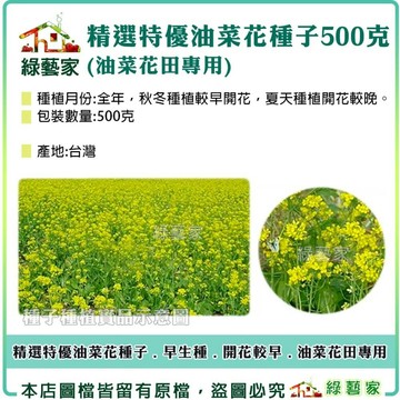 【綠藝家】00A16-3.精選特優油菜花種子(油菜花田專用) 500克(產地台灣)(早生種，開花較早.花海種子)