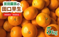 A-438 宮田園芸の田口早生 5kg みかん ミカン フルーツ 果物 柑橘 数量限定 期間限定 12月上旬より順次配送