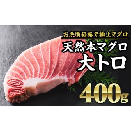 ふるさと納税 天然本マグロ  大トロ 　大満足400g　CH-82  三重県尾鷲市