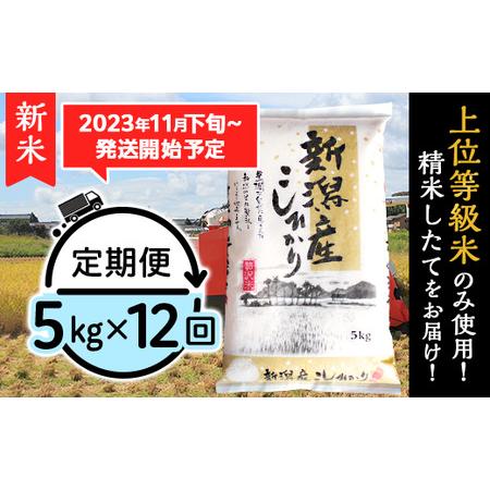 ふるさと納税 K512新潟県産コシヒカリ5kg 新潟県胎内市