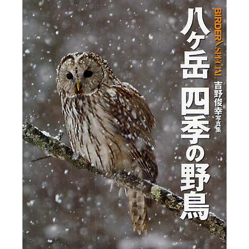 八ケ岳四季の野鳥 吉野俊幸写真集 吉野俊幸