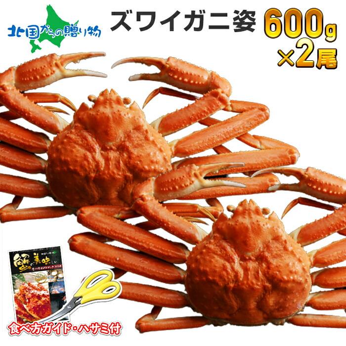 カニ　食べ物　LINEショッピング　海鮮　2尾　ギフト　600g　お取り寄せ　蟹　かに　ボイル　姿　ズワイガニ　御歳暮　gift