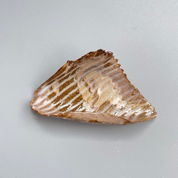 @studio_florero 陶片 茶針置 | 匙置