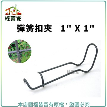 【綠藝家】彈簧扣夾 1" X 1"