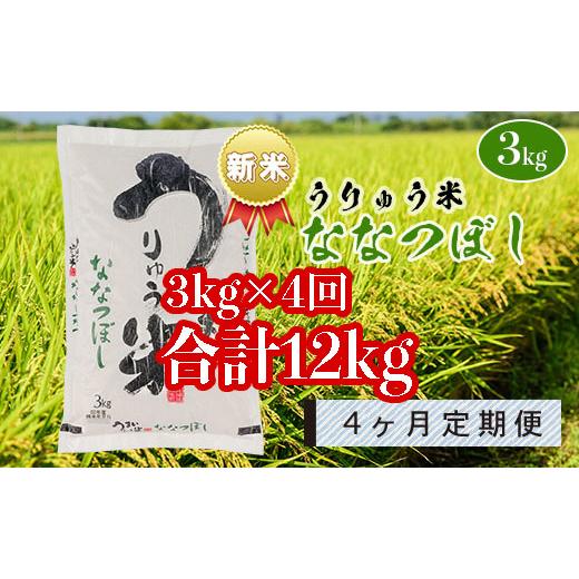 ふるさと納税 北海道 雨竜町 うりゅう米「ななつぼし」3kg×1袋 定期便！毎月1回・計4回お届け