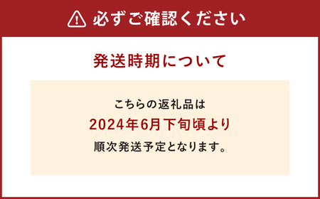 環境マイスターのアップルマンゴー 500g