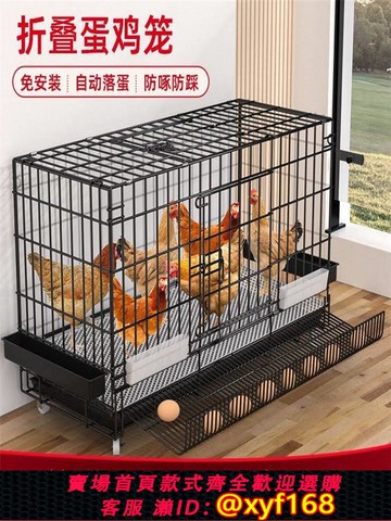 {可打統編 保固一年}雞籠子家用室外大號小雞籠自動清糞母雞下蛋家用室內養雞鴨窩防雨