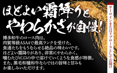 数量限定　博多和牛ロースステーキ２枚入　500g