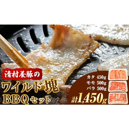 ふるさと納税 熊本県 御船町 ワイルド塊BBQセット 計1450g 清村養豚 《30日以内に順次出荷(土日祝除く)》  熊本県 御船町 豚 肉 冷凍 小分け カタ モモ バラ