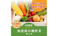 生命の農法（無化学農薬・無化学肥料栽培）季節の野菜セット