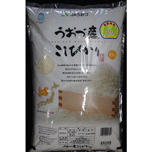 新米 令和5年産うおづ産こしひかり (10kg) 富山米 コシヒカリ 白米