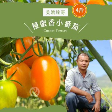 產地直送橙蜜香小番茄4斤x2盒