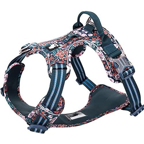 Dog Harness, No-Pull Pet Harness with 2 Leash Clips, Adjustable Soft Padded  Dog Vest, Reflective Outdoor Pet Oxford Vest with Easy Control Handle -  Black XL 