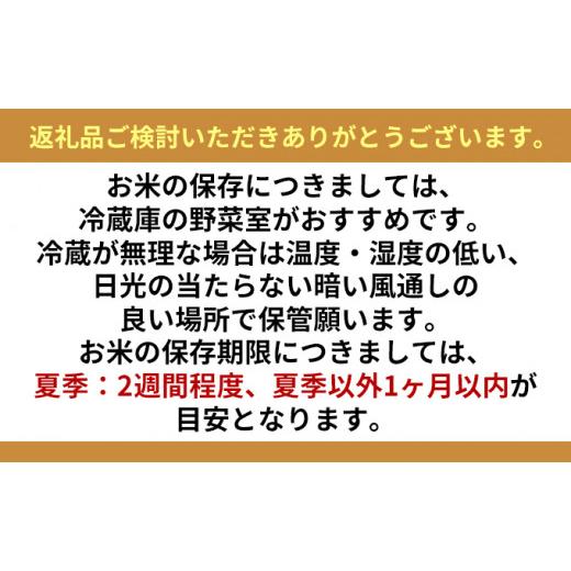 ふるさと納税 北海道 赤平市 玄米 北海道赤平産 ゆめぴりか 10kg (5kg×2袋) 特別栽培米 米 北海道