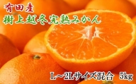 有田産樹上越冬完熟みかん5kg（L～2Lサイズ混合・赤秀）★2024年1月下旬頃より順次発送