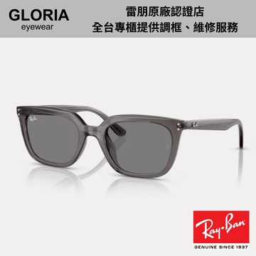 Ray Ban｜RB4439D-667587 方形膠框太陽眼鏡【葛洛麗雅眼鏡】