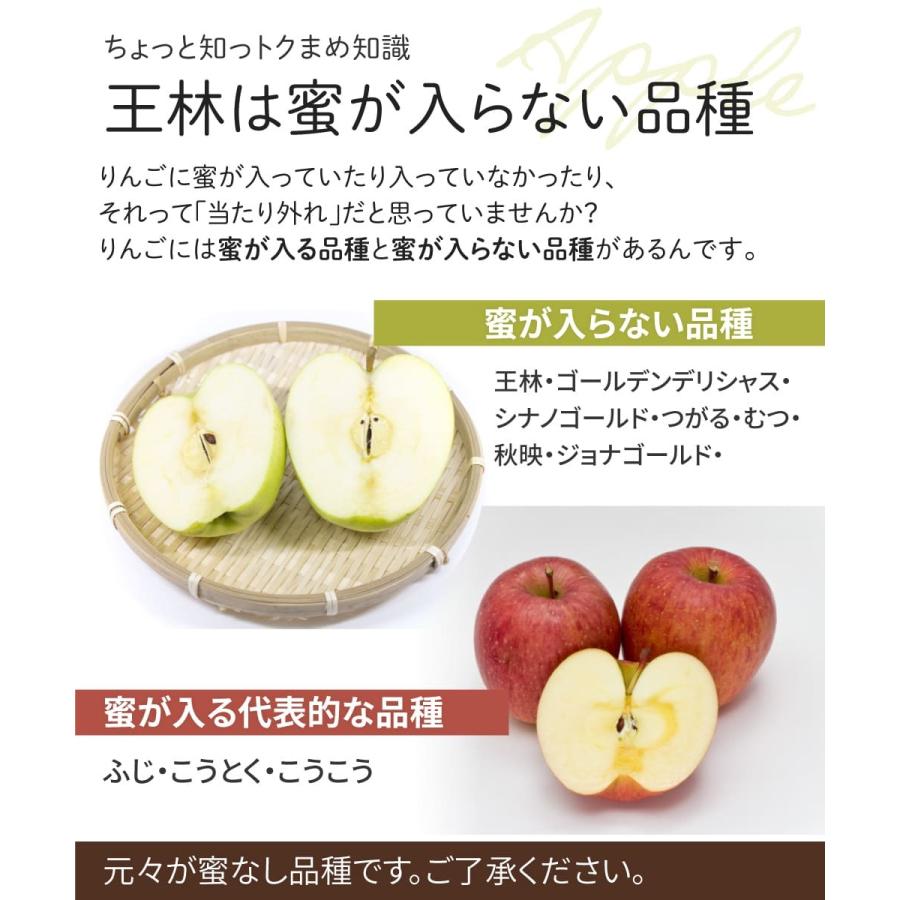 りんご 王林 5ｋｇ（約12玉〜25玉）2023年産 青森県産りんご ご家庭用 訳あり 産地直送 工藤農園