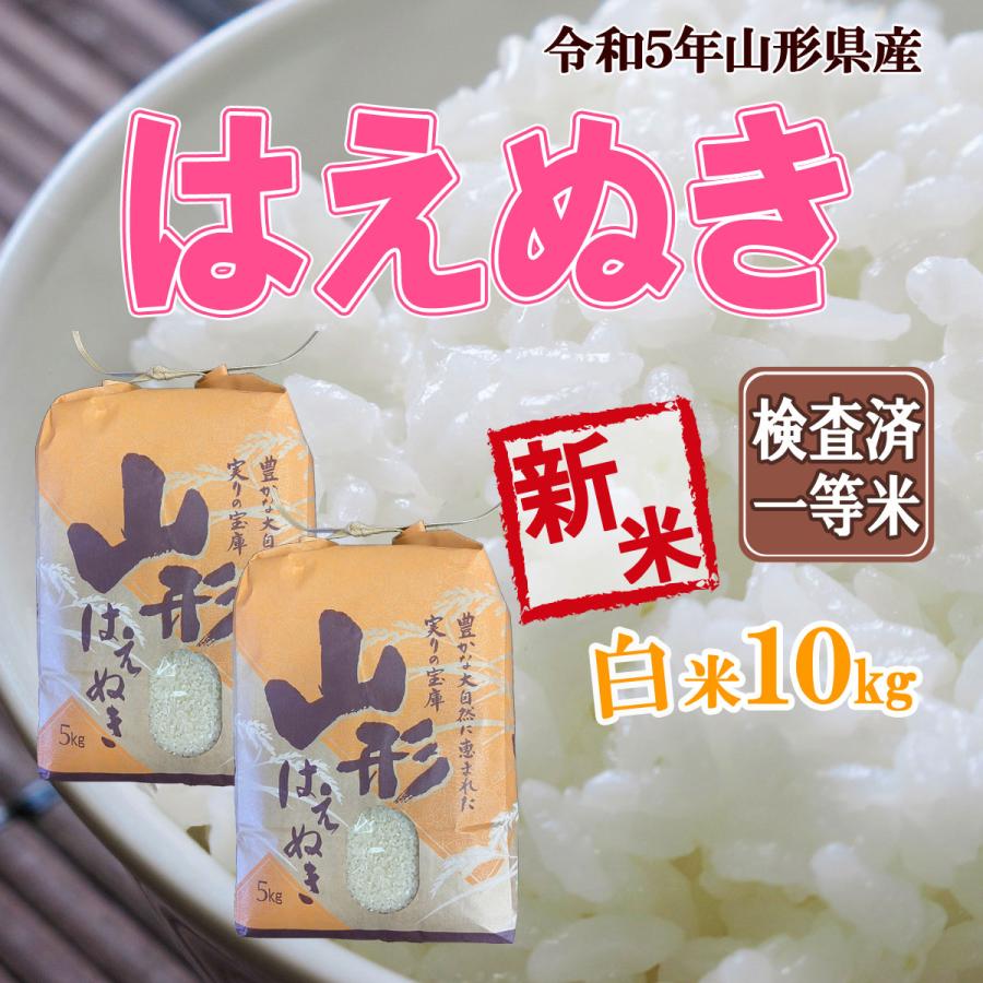 令和5年産 新米 送料無料 山形県産 はえぬき 白米 5kg×2 十キロ お米 おこめ 白米 はくまい  10kg