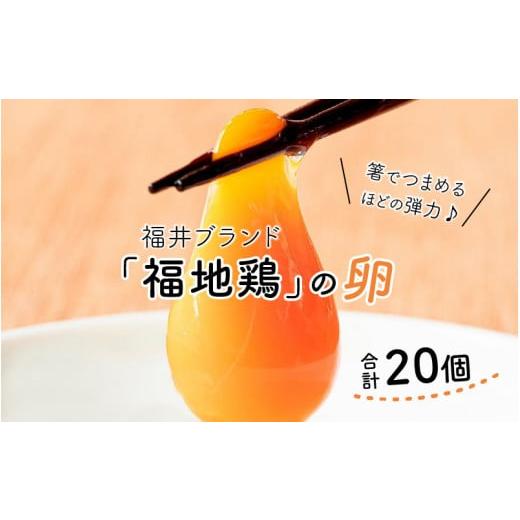 ふるさと納税 福井県 あわら市 濃厚で甘くておいしい！ 福井ブランド「福地鶏」の卵 20個（10個入×2パック）