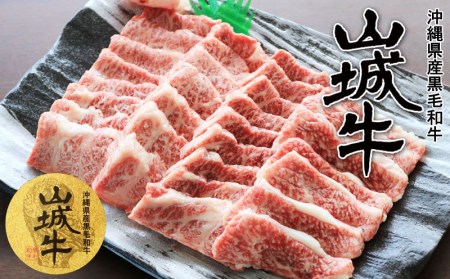 A5・A4ランク　沖縄県産黒毛和牛《山城牛》焼肉用カルビ600g