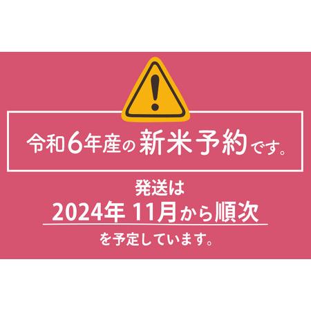 ふるさと納税 ※令和6年産 新米予約※《定期便3ヶ月》5年連続特A 秋田県産ひとめぼれ 計15kg (5kg×3袋) お届け周期調整可能 .. 秋田県由利本荘市