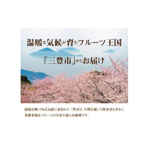 ふるさと納税 香川県 三豊市 M02-0055_温室さぬき紅みかん　約1.2kg