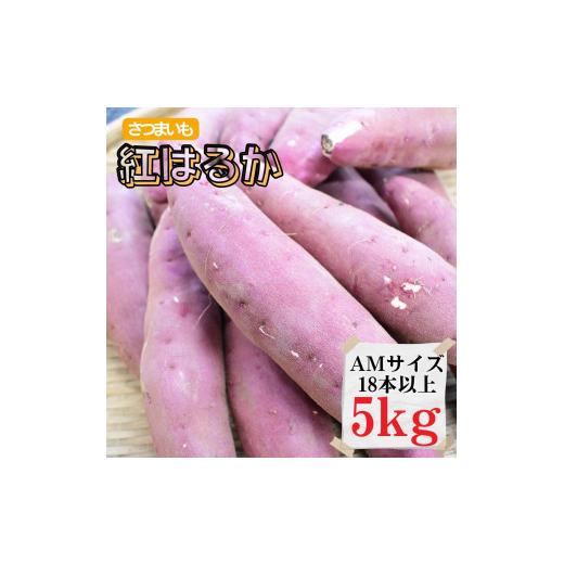 ふるさと納税 茨城県 鉾田市 さつまいもAMサイズ5kg（18本以上）