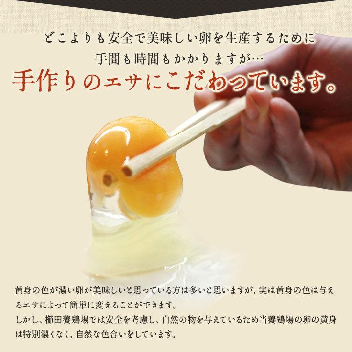 卵 お試し たまご 養鶏場直送 おひとり様1回限り 三種食べ比べお試しセット 合計18個入り（名古屋コーチンの卵6個＋くしたま赤卵6個＋くしたま白卵6個）