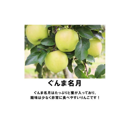 ふるさと納税 秋田県 鹿角市 《先行予約》秋田県鹿角産 りんご「ぐんま名月」家庭用 5kg（12〜20玉）●2023年12月上旬発送開始　りんご 林…