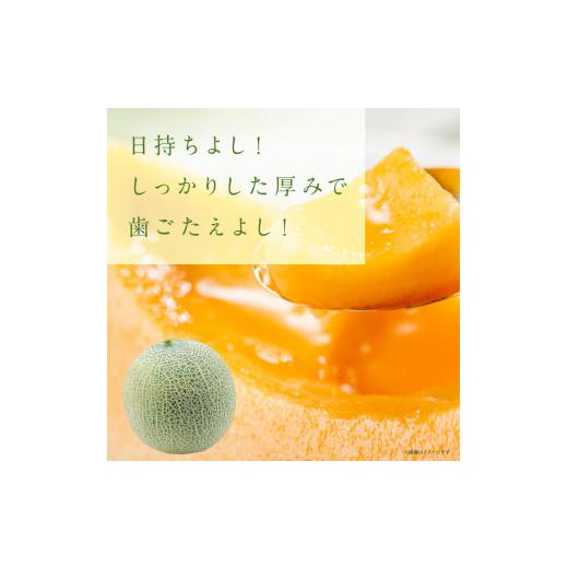 ふるさと納税 茨城県 鉾田市 極選大玉緑肉・赤肉　各1玉計2玉（5kg以上）