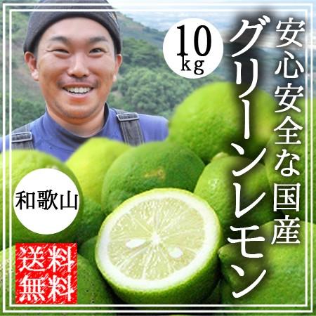 レモン 無農薬 国産 10kg 送料無料 グリーンレモン 青レモン 無農薬レモン ノーワックス 有機栽培 和歌山産 レモン酢 塩レモン 産地直送 グリーンジャンクション