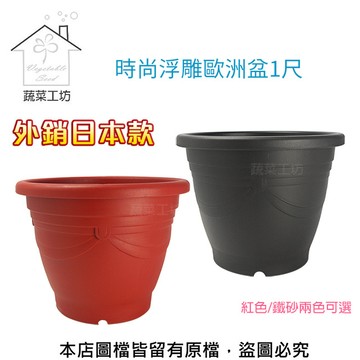 蔬菜工坊 時尚浮雕歐洲盆1尺(外銷日本款)