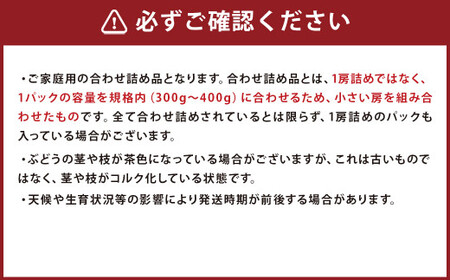 ご家庭用 旬のぶどう食べ比べ 完熟巨峰 シャインマスカット 詰め合わせ 計5パック 約1.5kg 