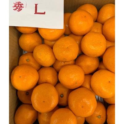 ふるさと納税 有田川町 有田みかん　赤秀品　L、2Lサイズ　10kg　　