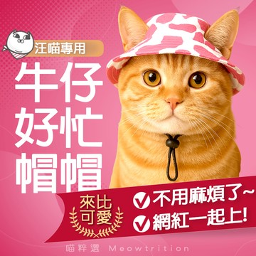 現貨 免運🎁 牛仔帽 牛仔 帽子 貓咪 頭套 防曬 搞怪 萬聖節 搞笑 網紅 寵物衣服 貓 狗 貓咪衣服 狗狗衣服