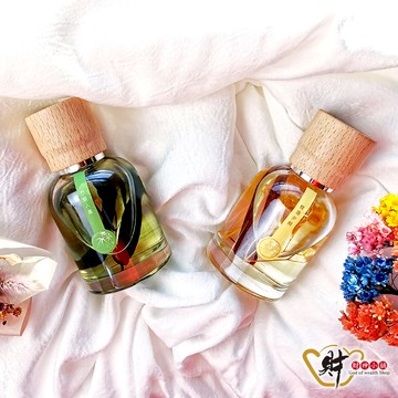 家居淨化-香氛擴香瓶100ml(兩款任選)【財神小舖】空間淨化、放鬆心情