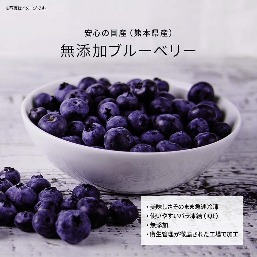 国産 熊本県産 ブルーベリー 冷凍 1kg(1000g) x 2袋 ぶるーべりー