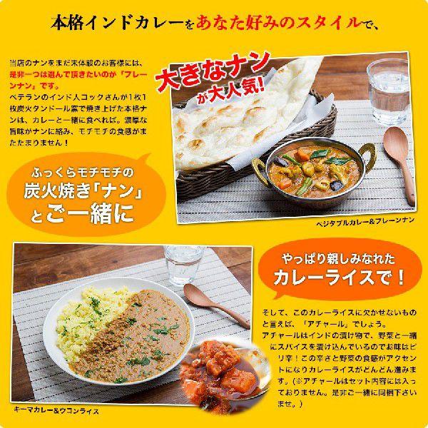 インドカレー 5種類のカレー お試しセット インドカレーの店 神戸 アールティー 初回限定価格  送料無料 セール