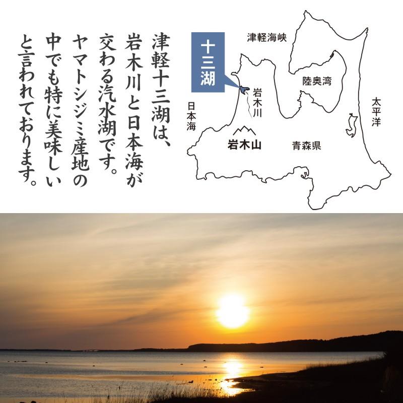 しじみ シジミ 蜆 十三湖 津軽  青森 冷凍　十三湖産冷凍しじみ  中粒 1.2kg（200g×6袋）