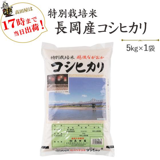 令和５年産　お米 白米　5kg  特別栽培米長岡産コシヒカリ　5kg×1袋　送料無料（一部地域を除く）